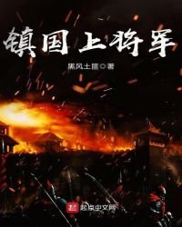 《镇国上将军》