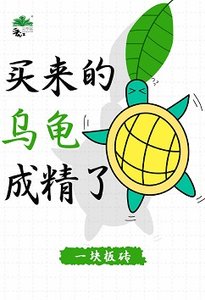《买来的乌龟成精了》