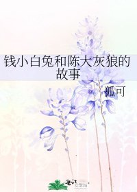 《錢小白兔和陳大灰狼的故事》