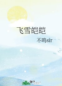 《飛雪皚皚》