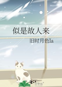 《似是故人来》