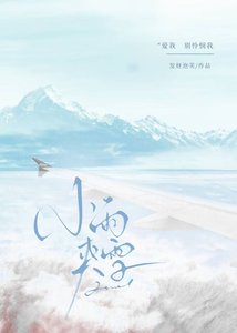 《小雨夹雪》